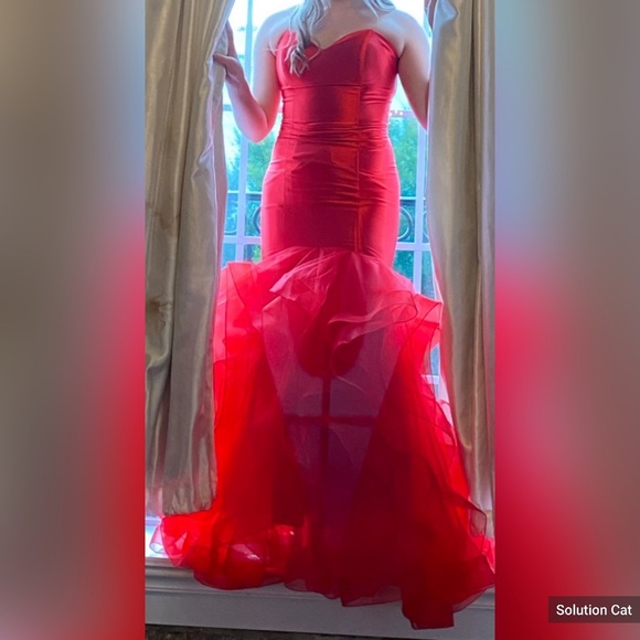 Prom Dress - Picture 3 of 4